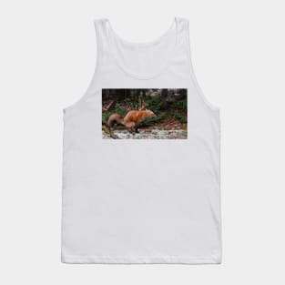 "Damn pine cones!" - Red Fox Tank Top